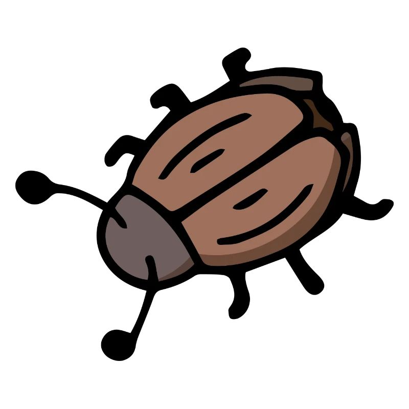 Glückskäfer Insekt Maikäfer Junikäfer