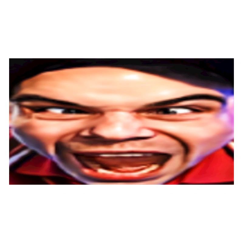 DAS WUTGESICHT