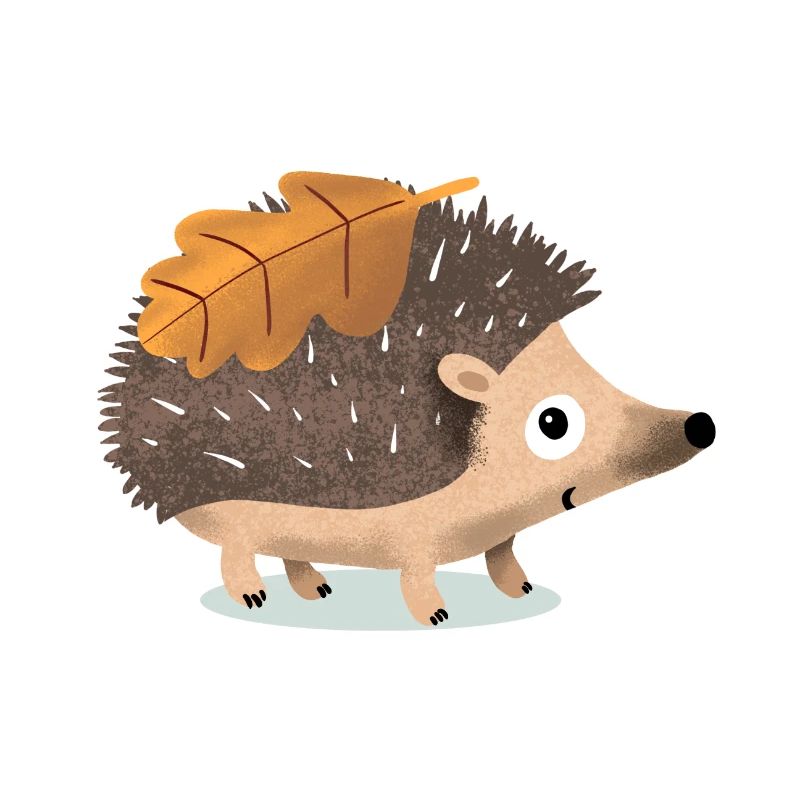 HerbstIgel mit Eichenblatt