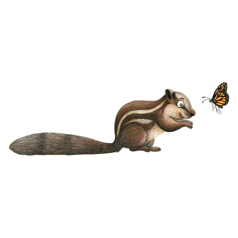 small chipmunk