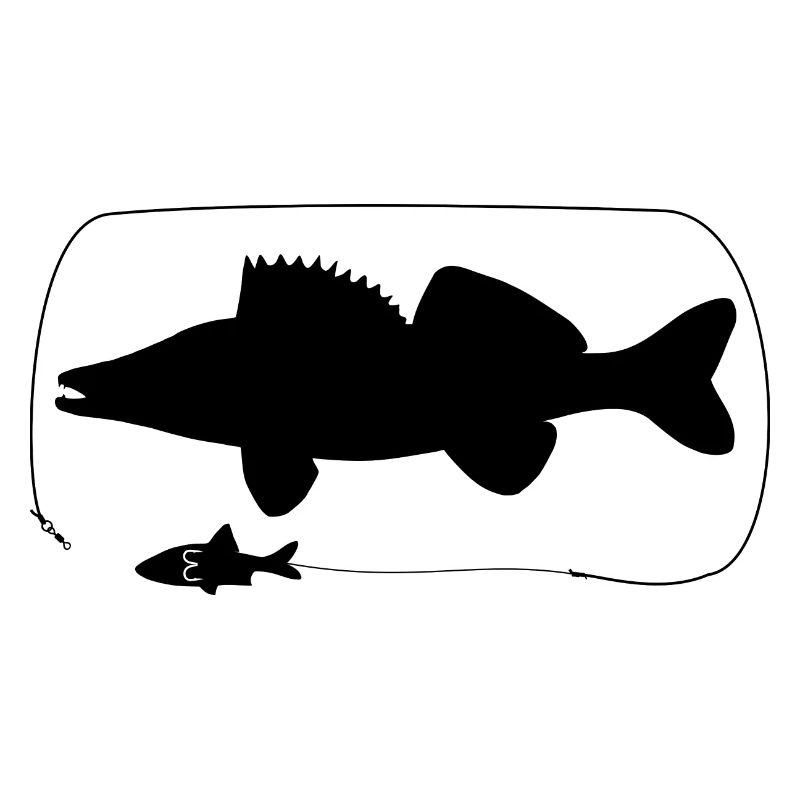 Zander mit Naturköder