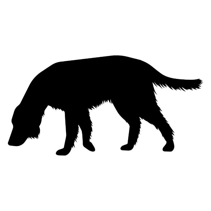 Hund