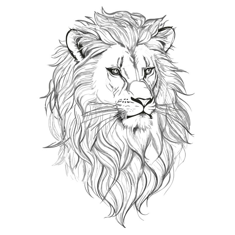 crinière de lion
