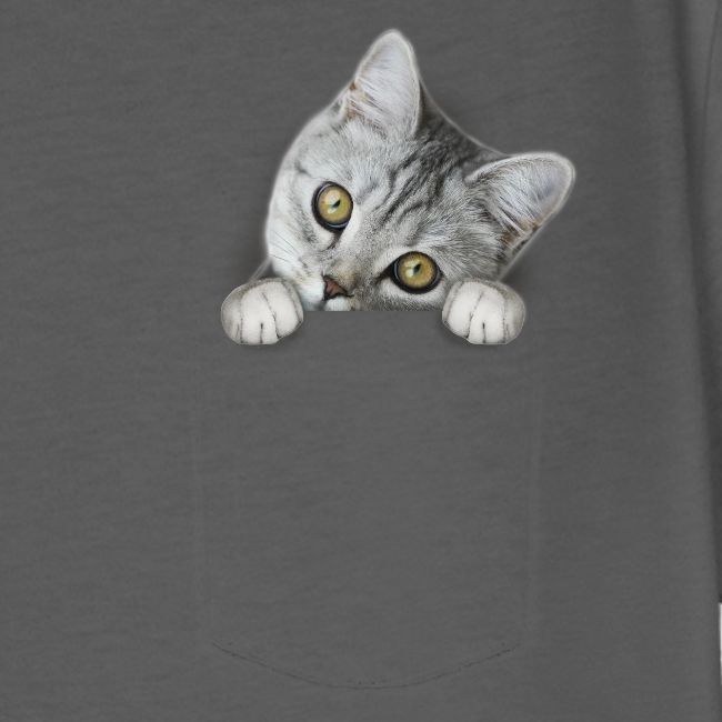 cat pocket