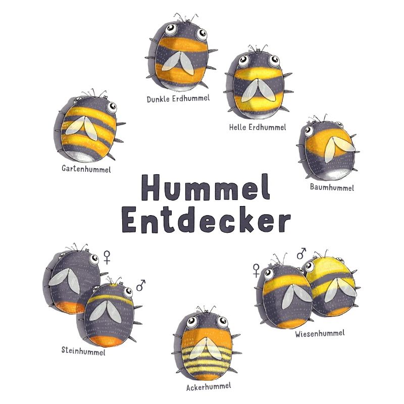 Bumblebee Explorer - connaissez-vous toutes les espèces de bourdons?
