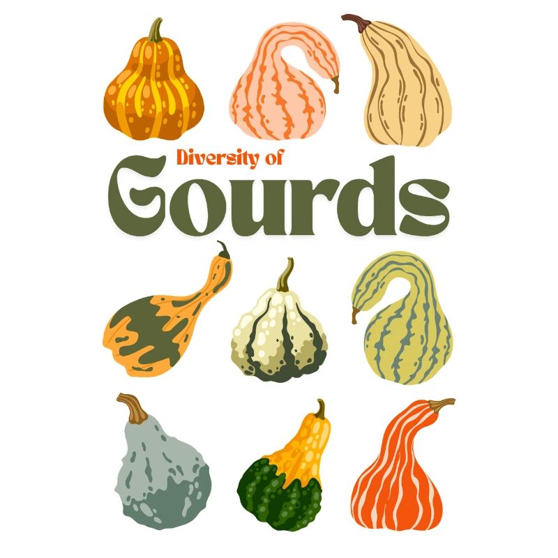 Diversité des gourdes