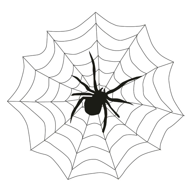 toile d'araignée