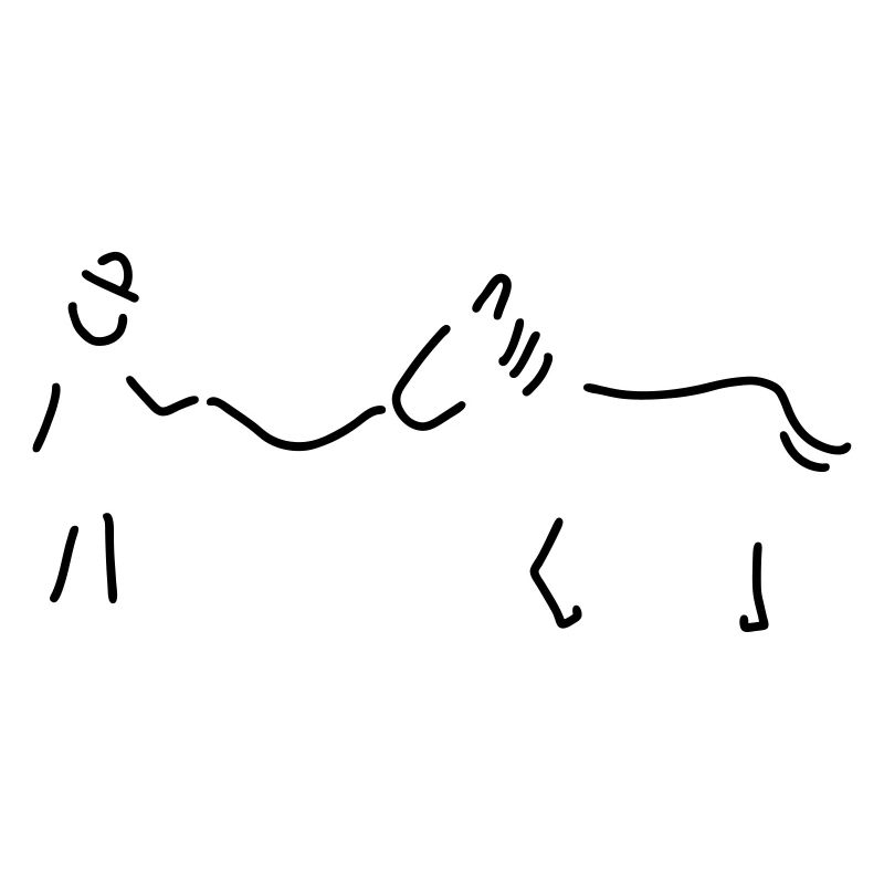 pferdeflüsterer