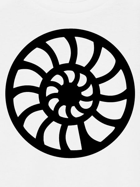 Fossil