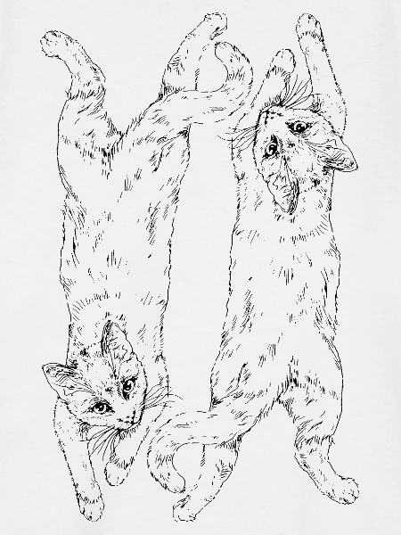 Katzen