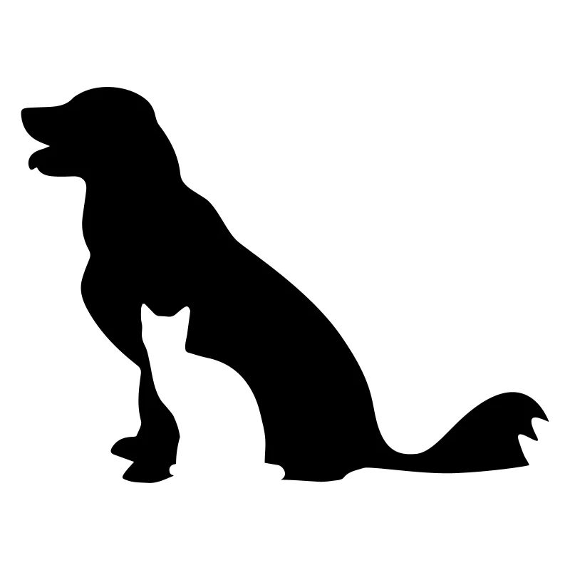 Chien et chat