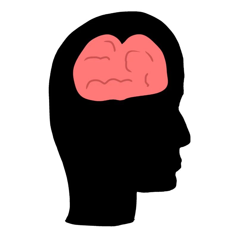 Head Profile Human People Side Brain
