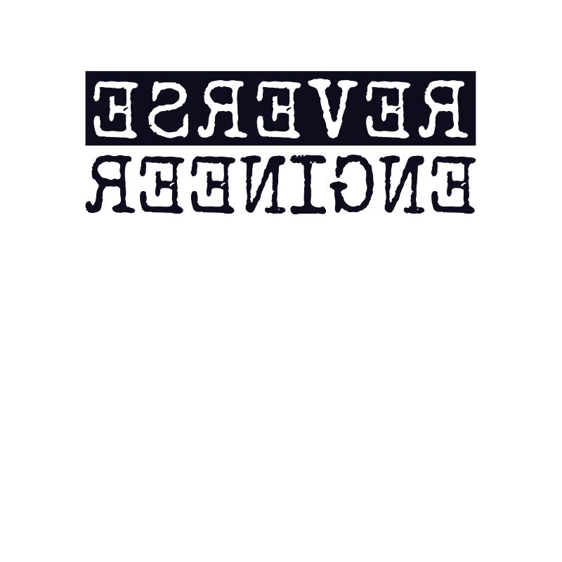 Reverse Engineer Software Engineer Developer
