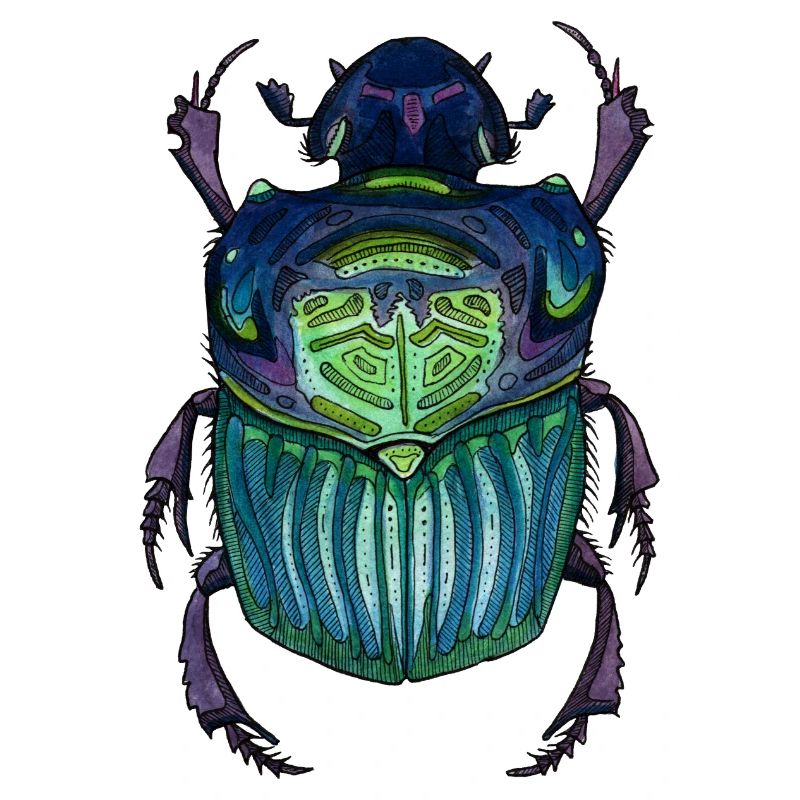 Big Beetle - Coléoptère géant
