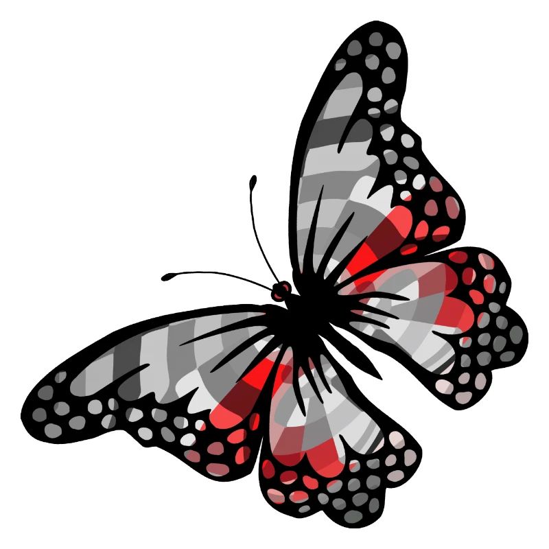 Papillon