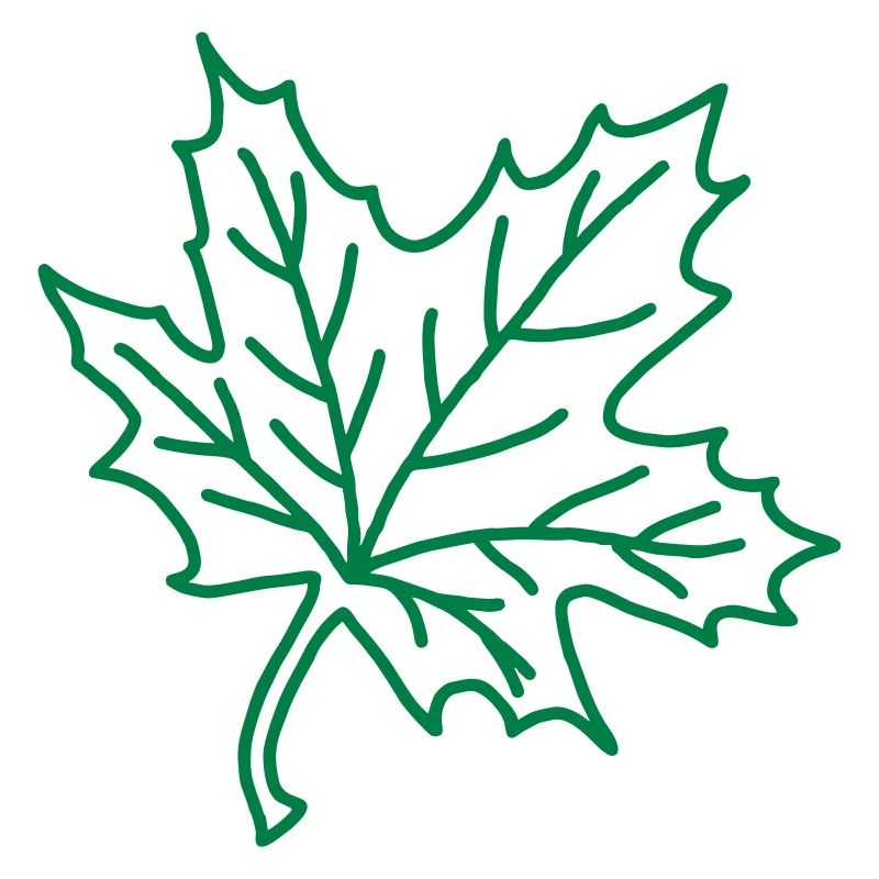 Maple Leaf - tree
