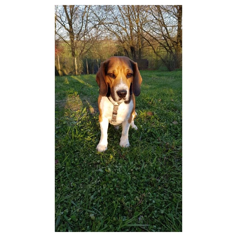 BD2D42FA 2360 40FD B0CB 5113CCC2E731