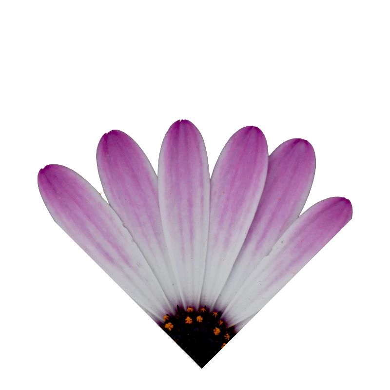 Quartier de fleur