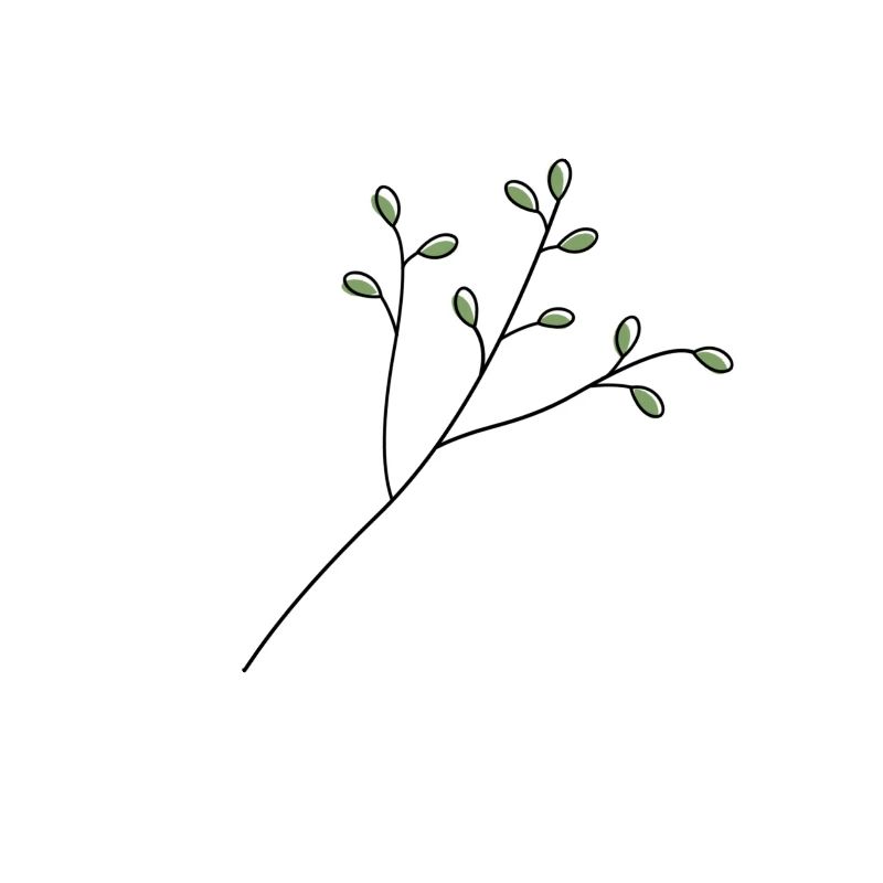 Branche.