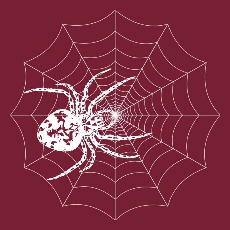 araignée