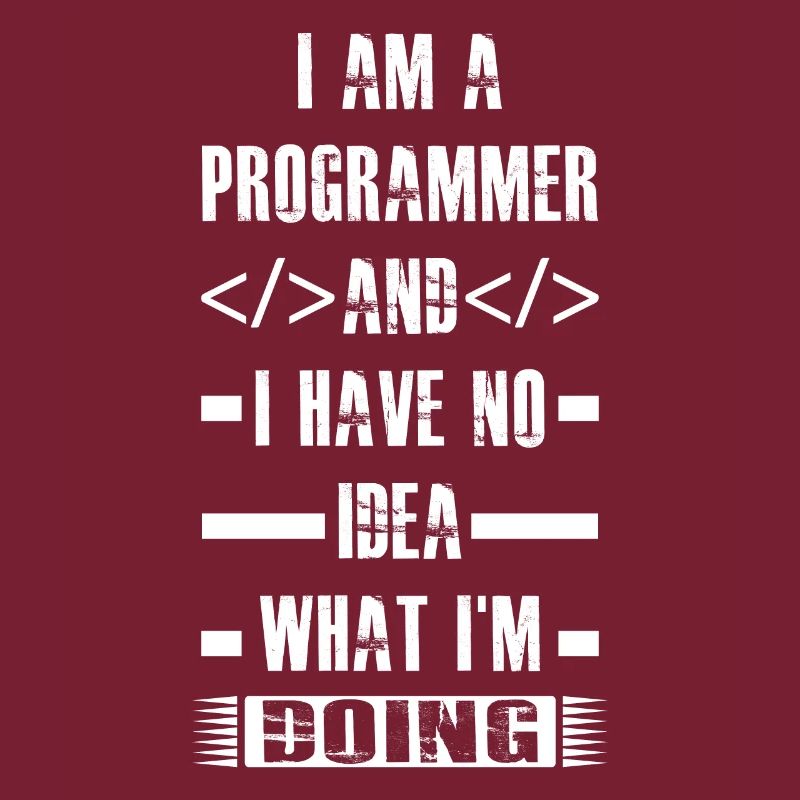 Programmierer - I am a programmer and i have