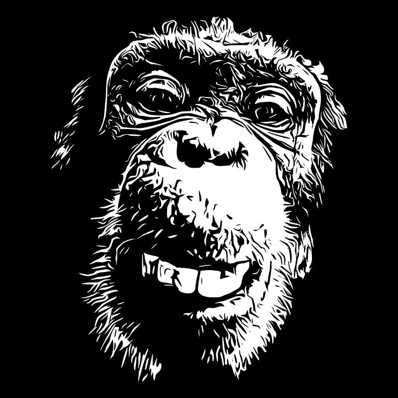 Affe Affengesicht Schimpanse Menschenaffe