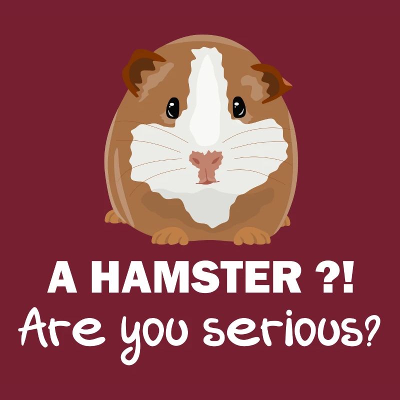 Pas de hamster - cadeau de cochon d'Inde