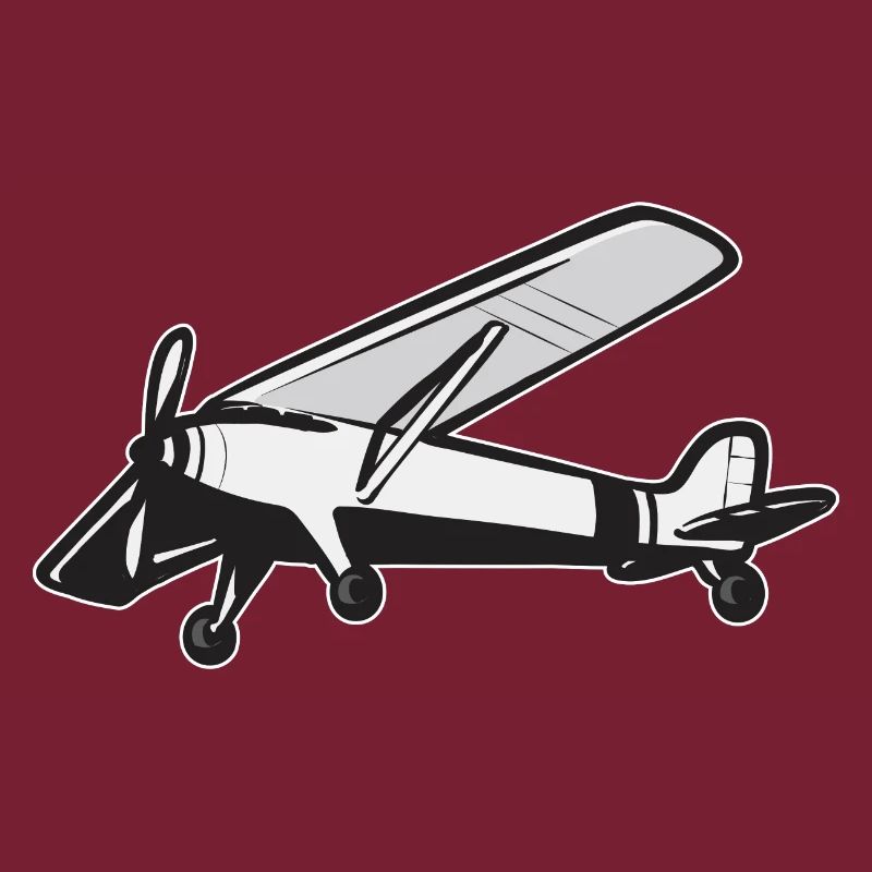 Modèle d’avion télécommandé