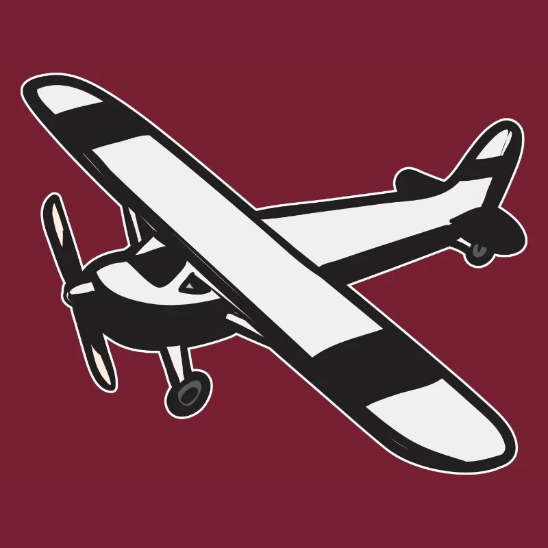Remote Controlled Airplane Model Airplane