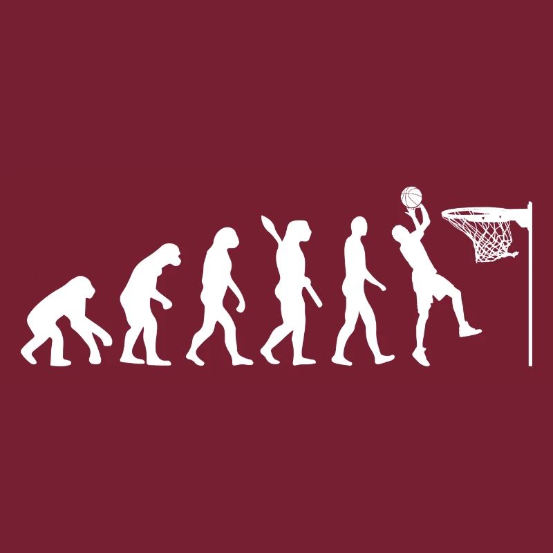 Jeu de basket-ball Evolution