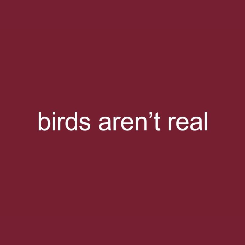 birds aren't real