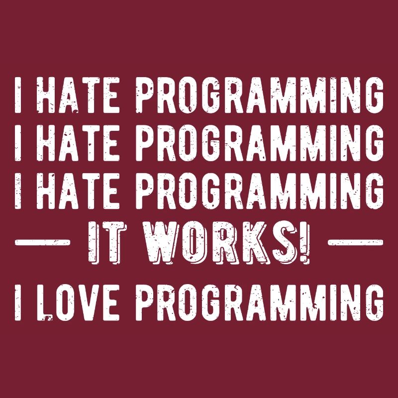 Ich hasse Programmieren - Funny Programmer II