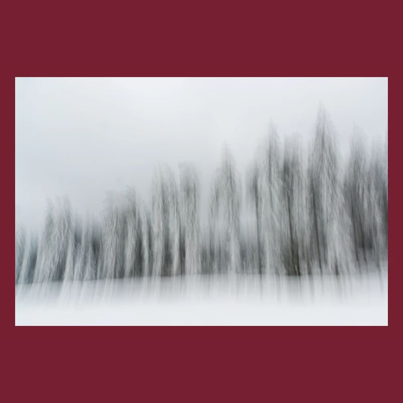 Eine Reihe verschneiter Nadelbäume in einer Winterlandschaft in m