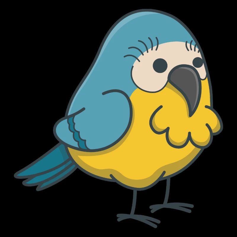 Budgerigar bird gift kawaii comic pet
