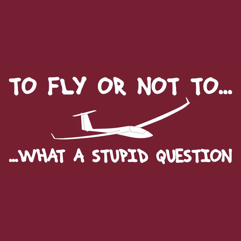 Question pilot glider pilot gliding glider