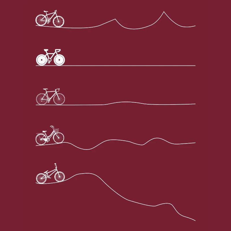 Types de motards