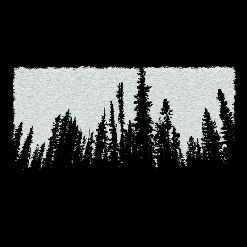 white trees forest nature