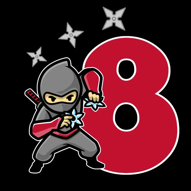 Ninja 8 year gift