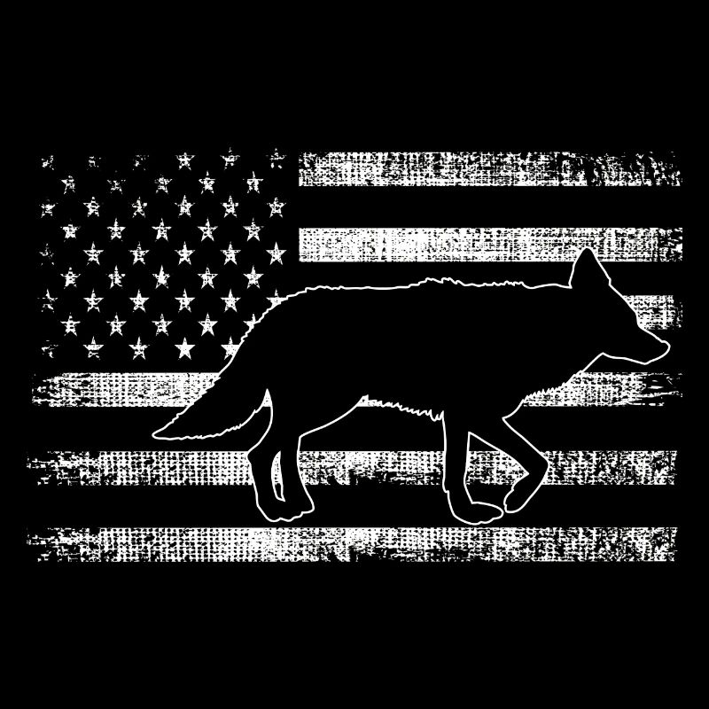 Conception de coyote pour les réacteurs de coyote
