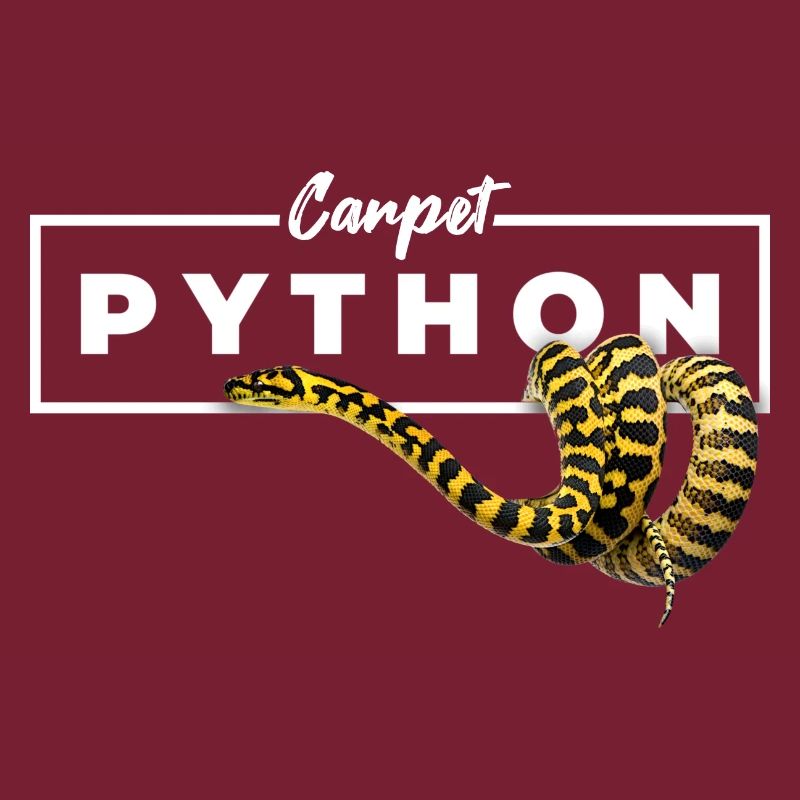 Teppichpython Geometrische Reptilienbesitzerin
