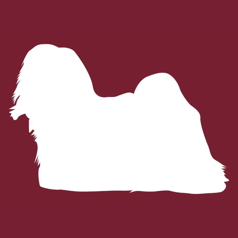 Lhasa Apso - Lhasa Apso Chien