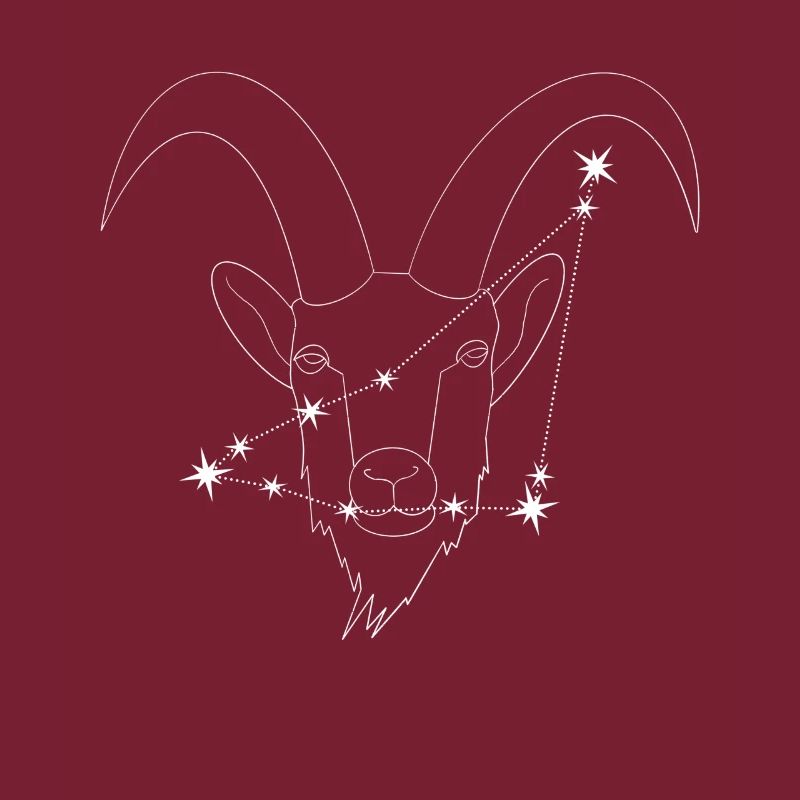 Steinbock Sternbild/Sternzeichen