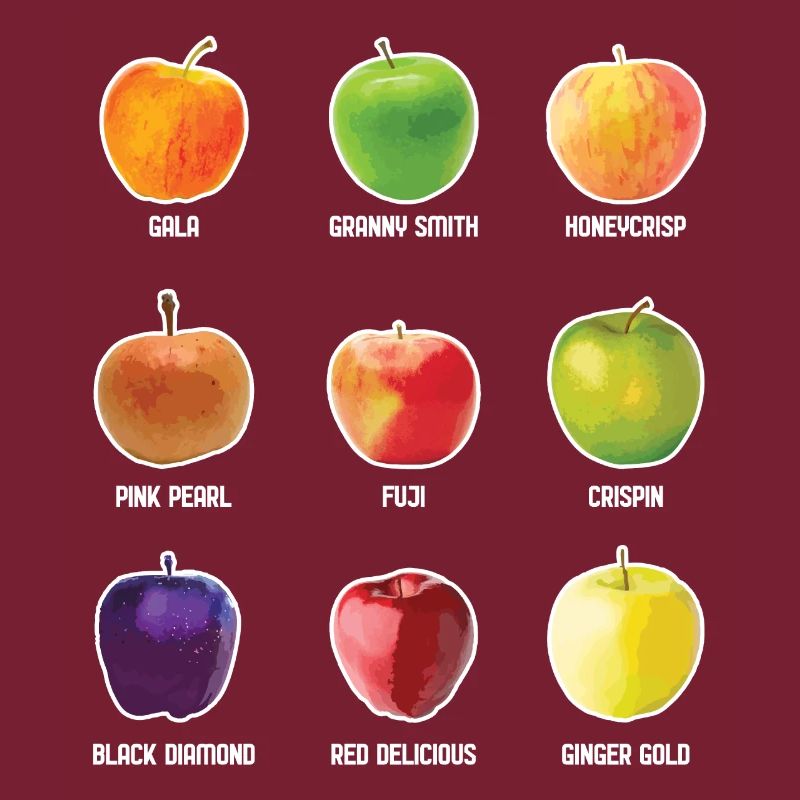Apple Varieties Different Apples Fruit Apple