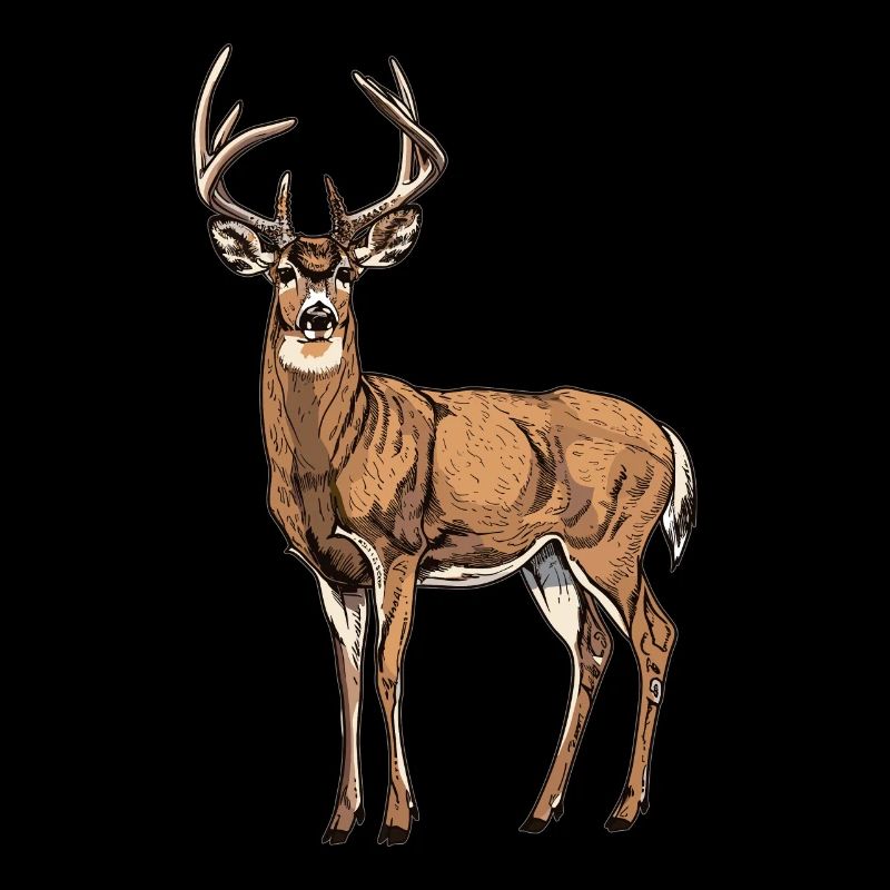 Hirsche Hirsch