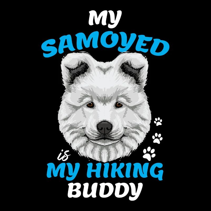 Samoyede Samoyed