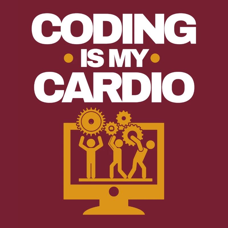 Software Developer