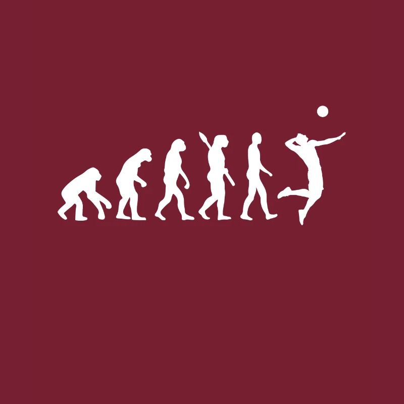 Evolution du volley-ball | Evolution volley-ball