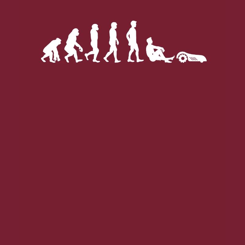 Mähroboter Rasenmäher Evolution Roboter Gärtner