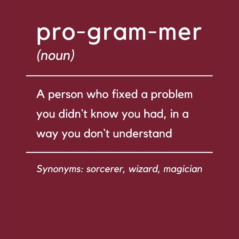 Programmer Definition Computer Developer Software