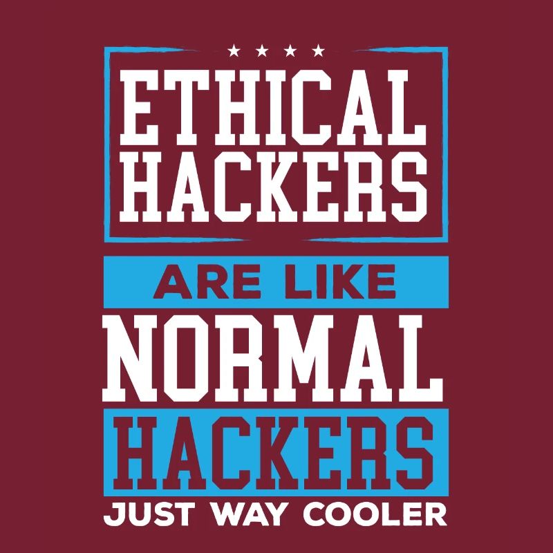 Ethical Hacking Programmer Online Cybersecurity